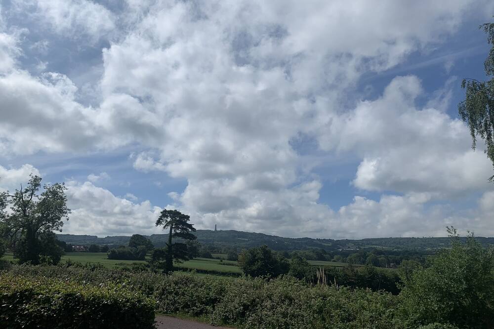 Photo of Others in Wellington