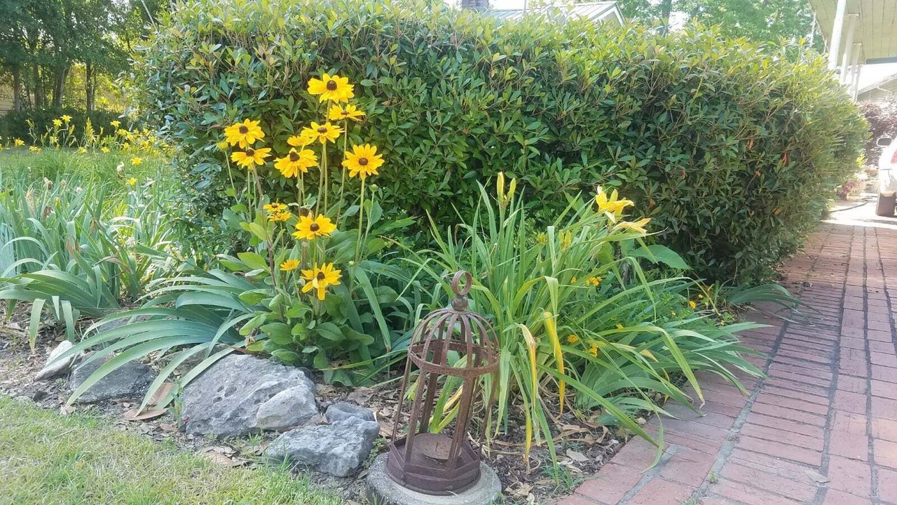 Photo of Outdoor in Brewton