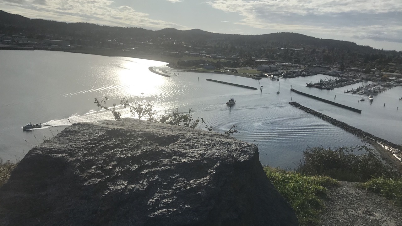 Photo of Others in Anacortes