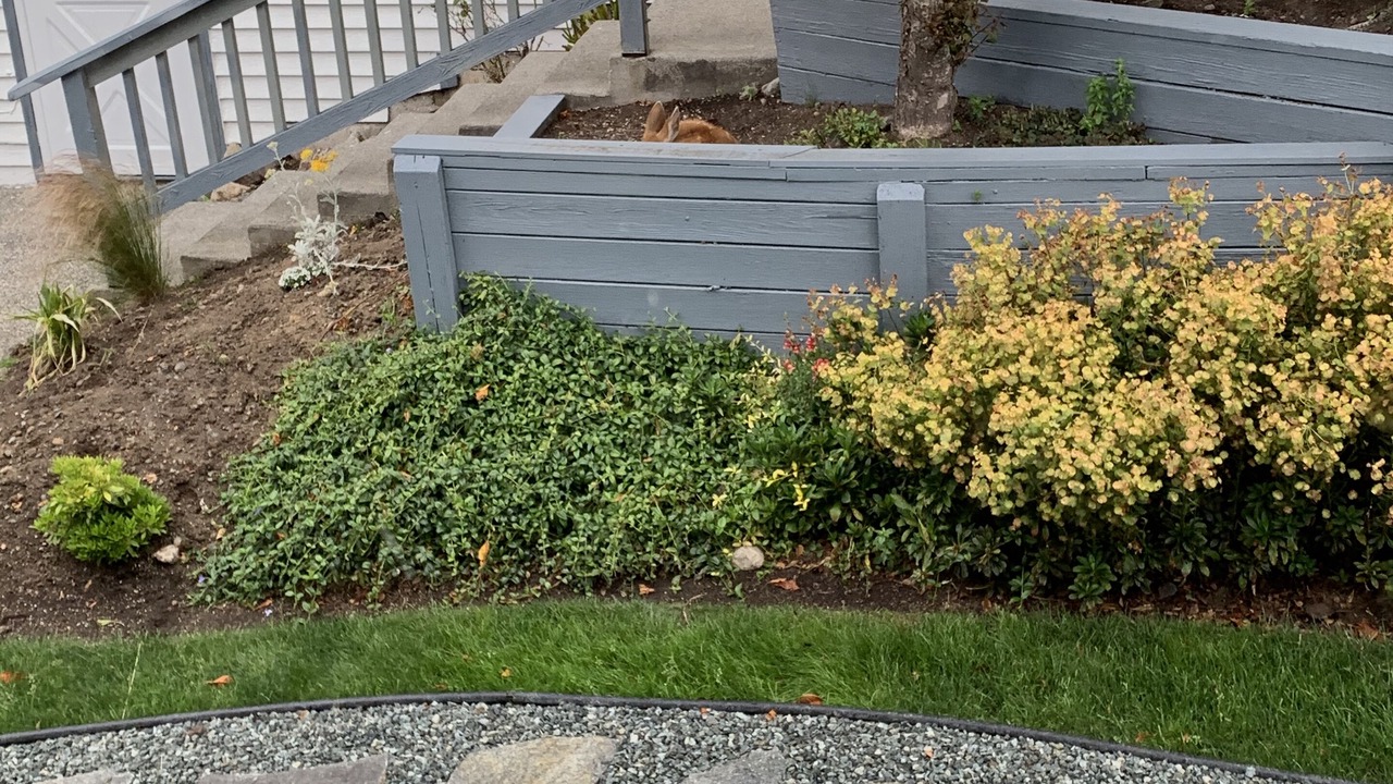 Photo of Outdoor in Anacortes