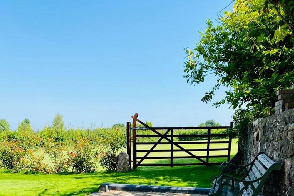 Photo of Others in Pill