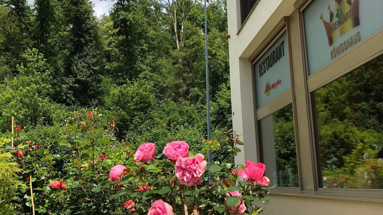 Photo of Outdoor in Pfaffikon District