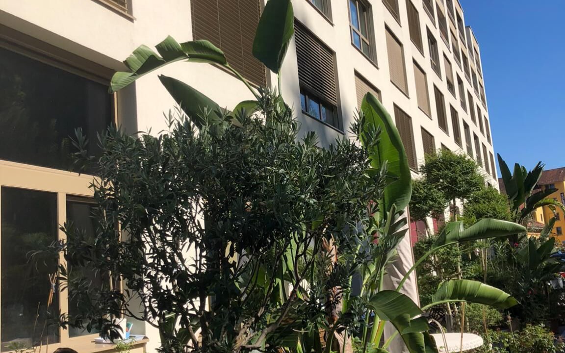 Photo of Outdoor in Pfaffikon District
