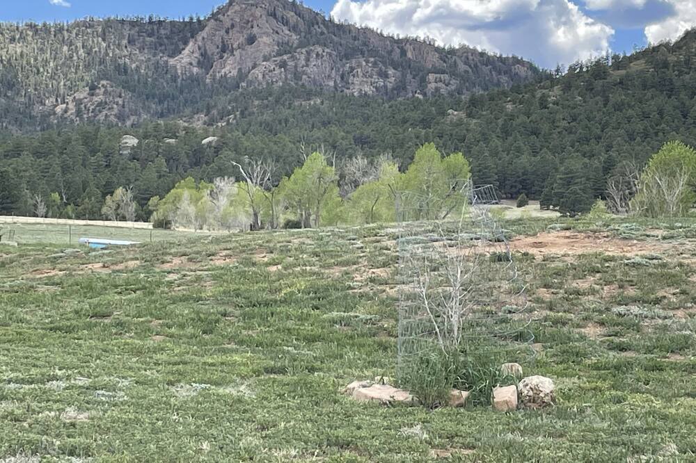 Photo of Outdoor in Holman