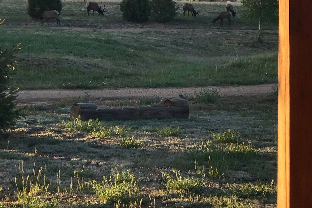 Photo of Others in Holman