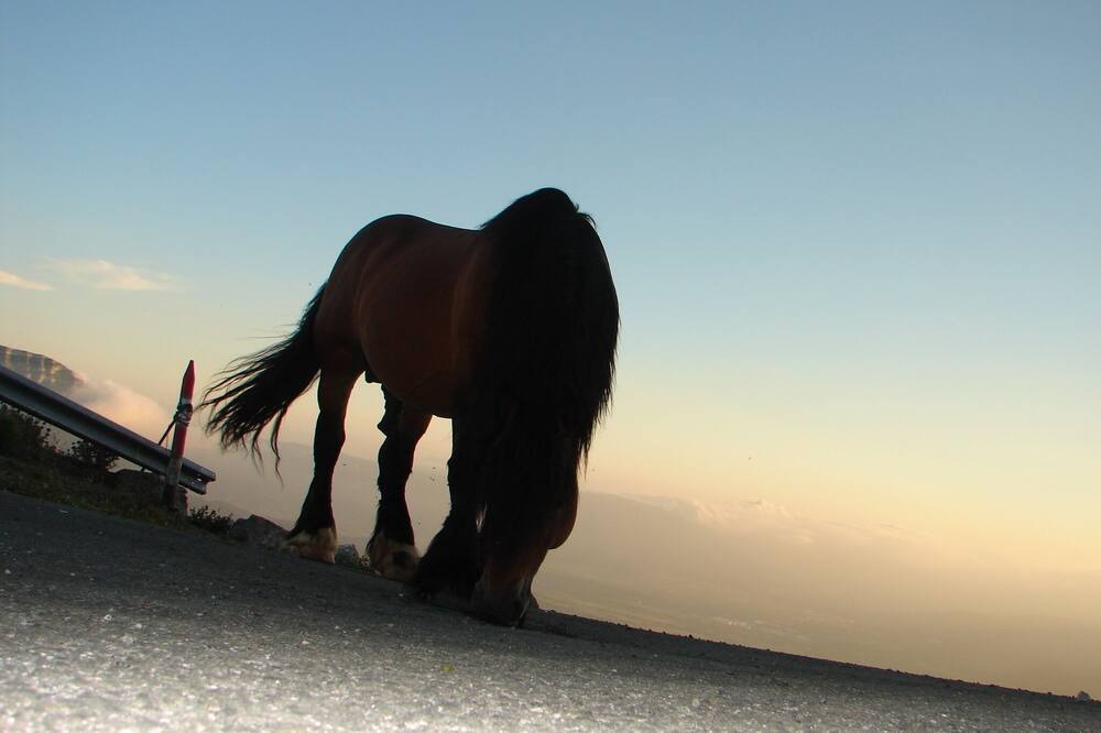 Photo of Outdoor in Uharte-Arakil