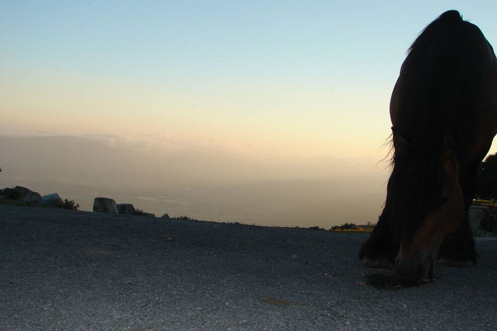 Photo of Others in Uharte-Arakil
