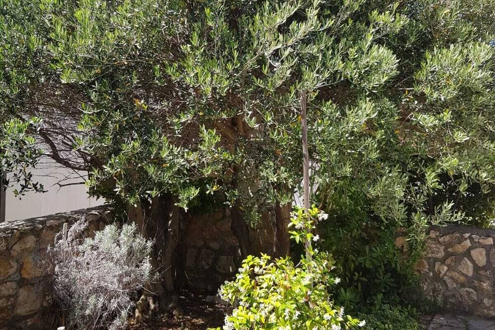 Photo of Outdoor in Kolanjski Gajac