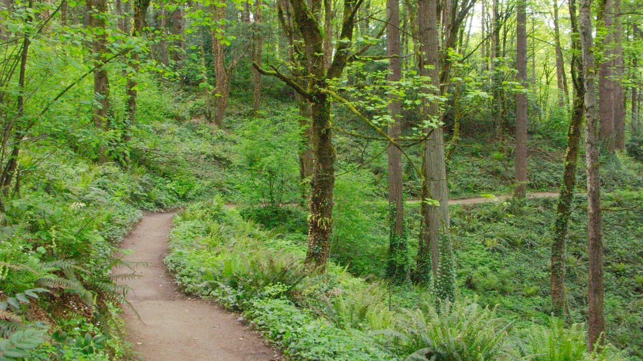 Photo of Outdoor in Holly