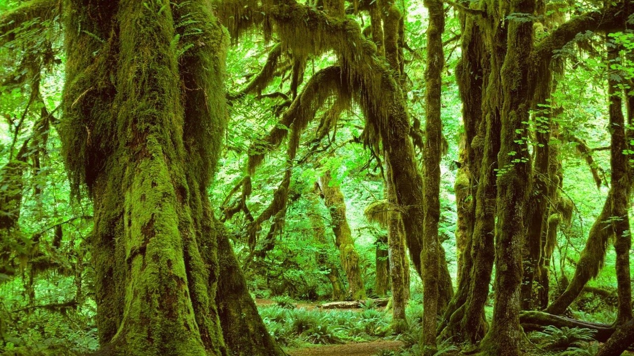 Photo of Outdoor in Holly