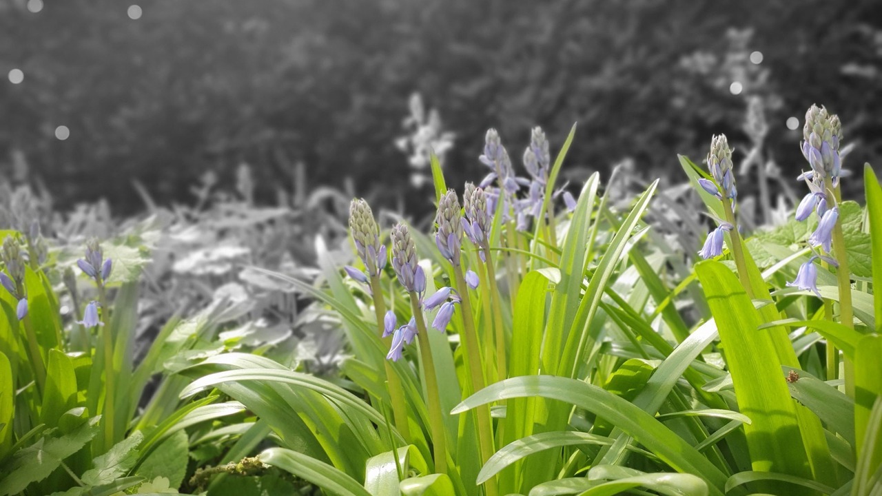 Photo of Outdoor in Saint-Sauveur-la-Pommeraye