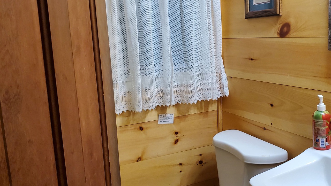 Photo of Others in Forest Dale