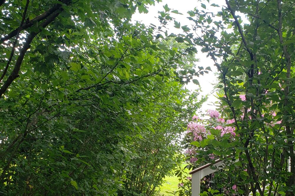 Photo of Others in Wrightsville