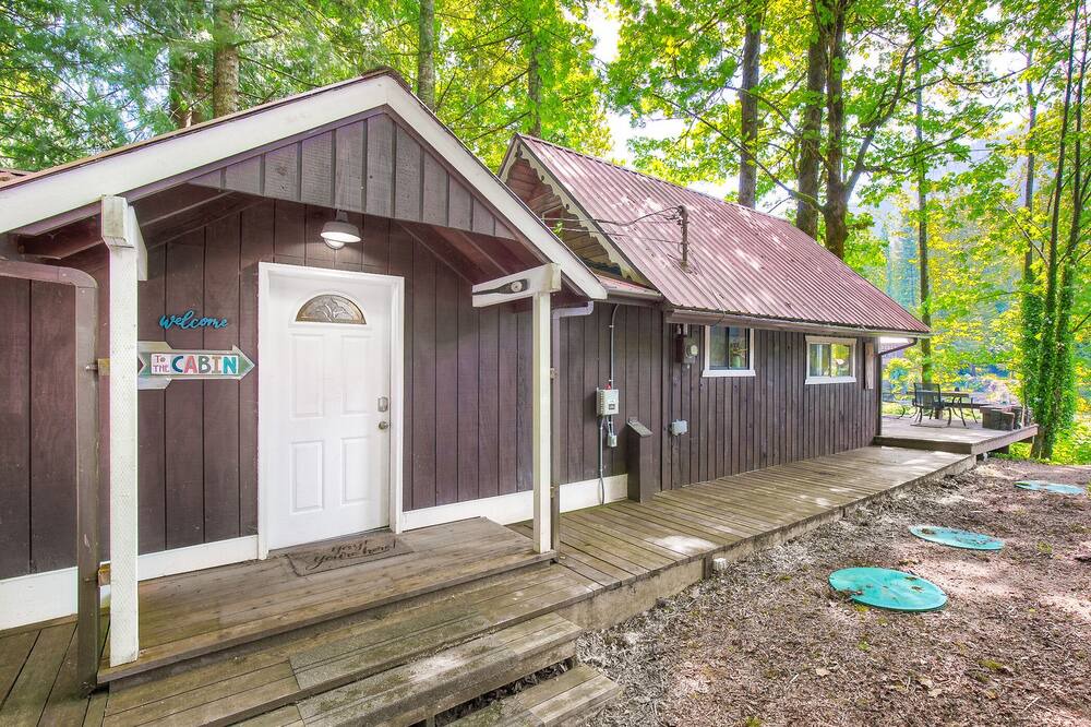 Photo of Others in Gold Bar