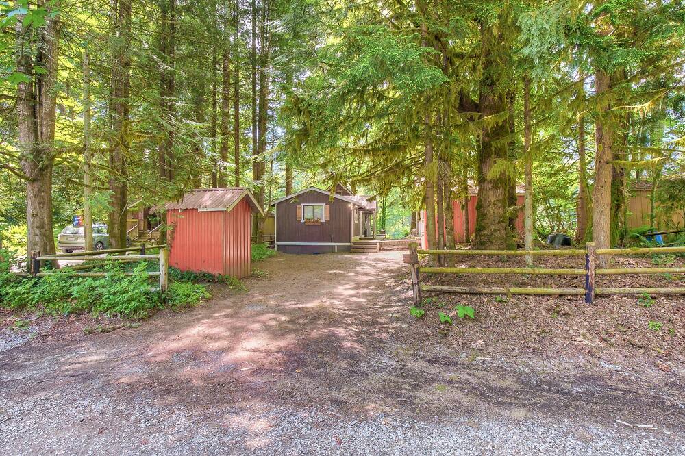 Photo of Others in Gold Bar