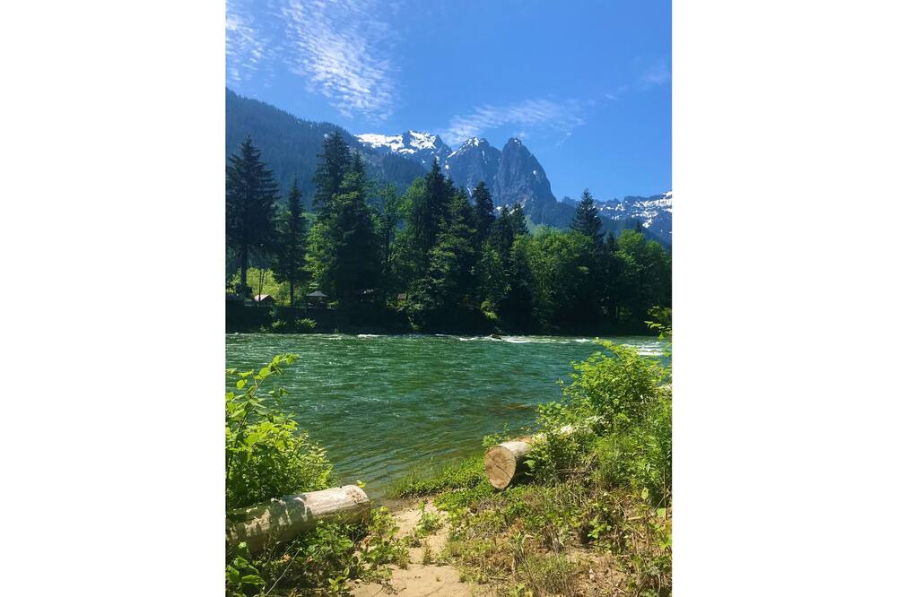 Photo of Others in Gold Bar