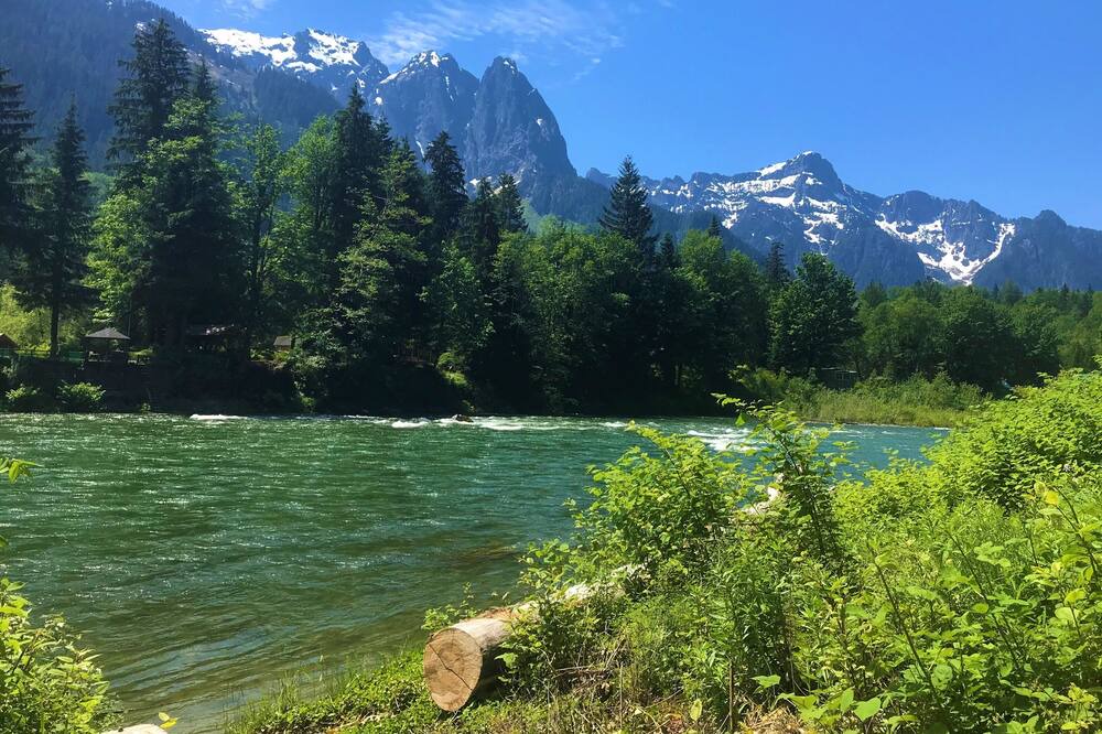 Photo of Others in Gold Bar