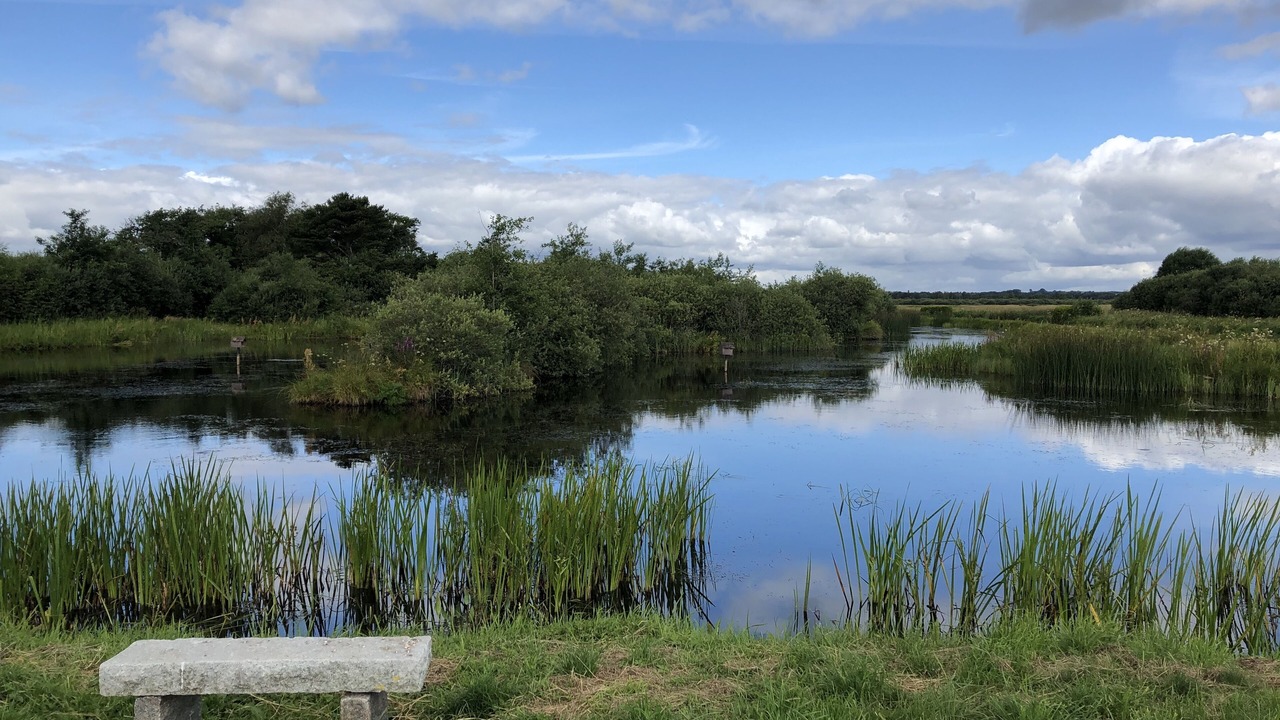 Photo of Outdoor in Uldum