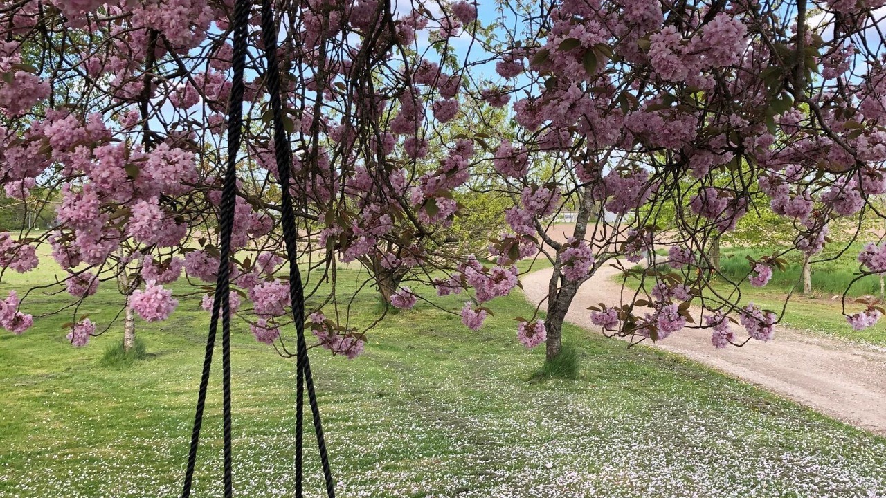 Photo of Outdoor in Uldum