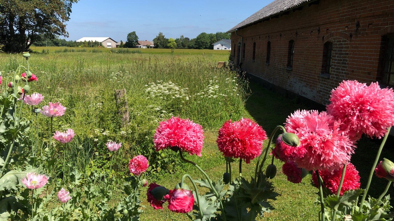 Photo of Outdoor in Uldum