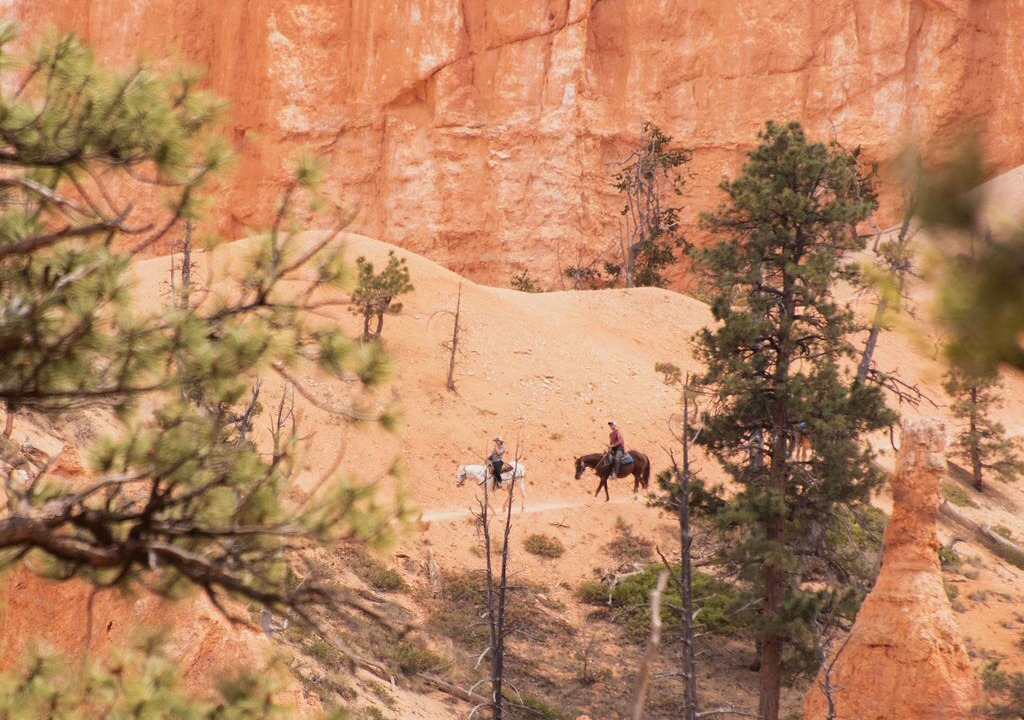 Photo of Others in Escalante