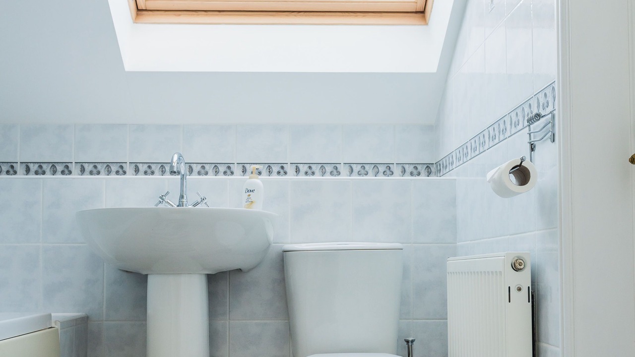 Photo of Others in Kilmun