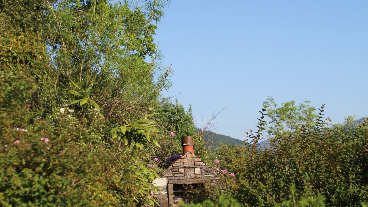 Photo of Outdoor in Kilmun