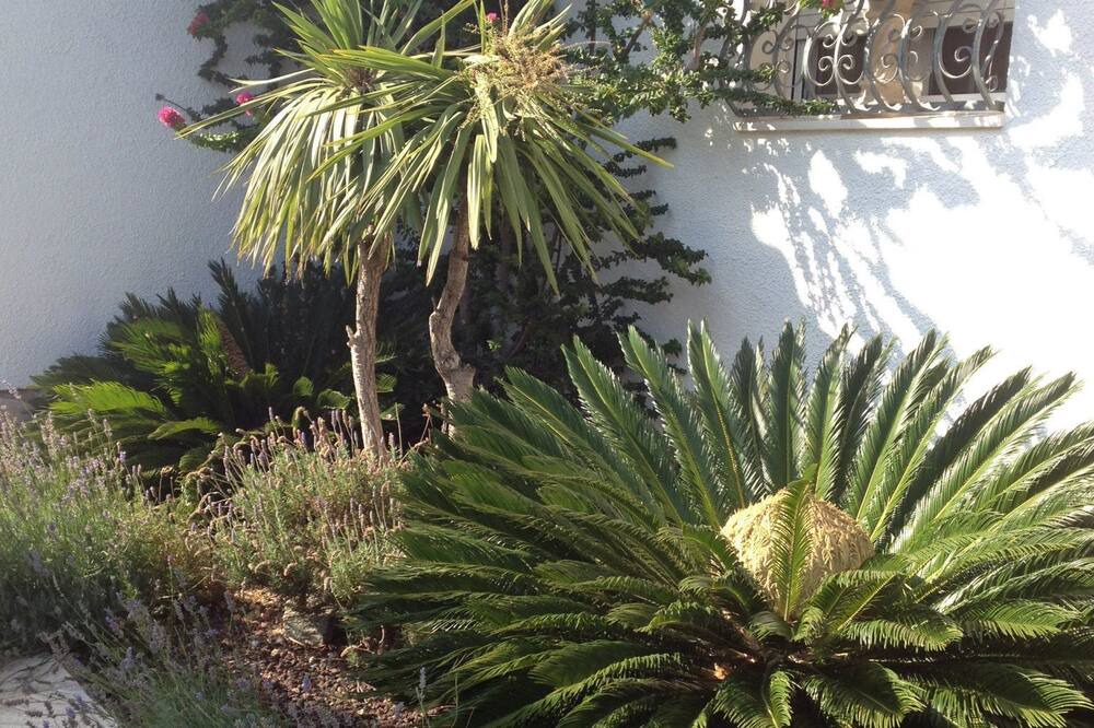 Photo of Outdoor in Costa del Zefir