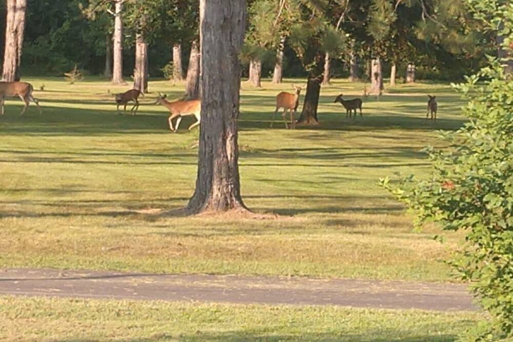 Photo of Outdoor in Ladysmith
