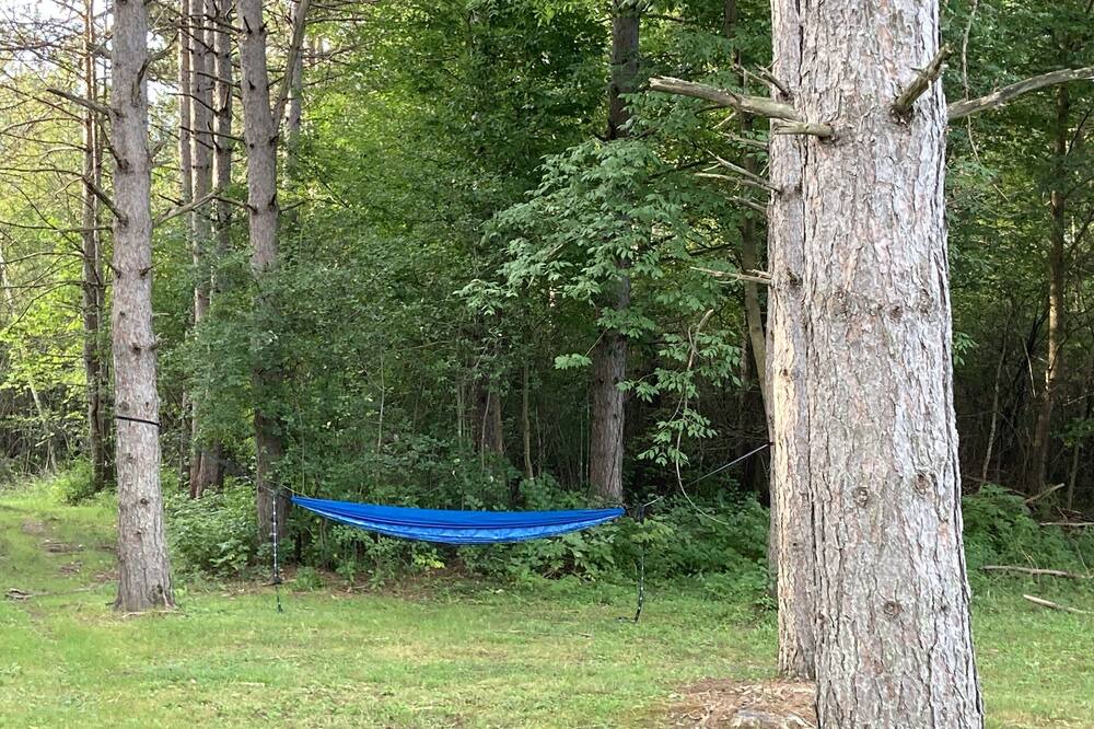 Photo of Outdoor in Ladysmith