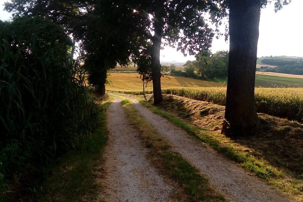 Photo of Outdoor in Pergain Taillac