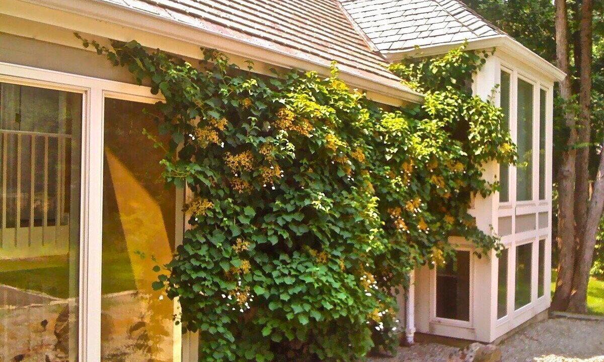 Photo of Outdoor in Blawenburg