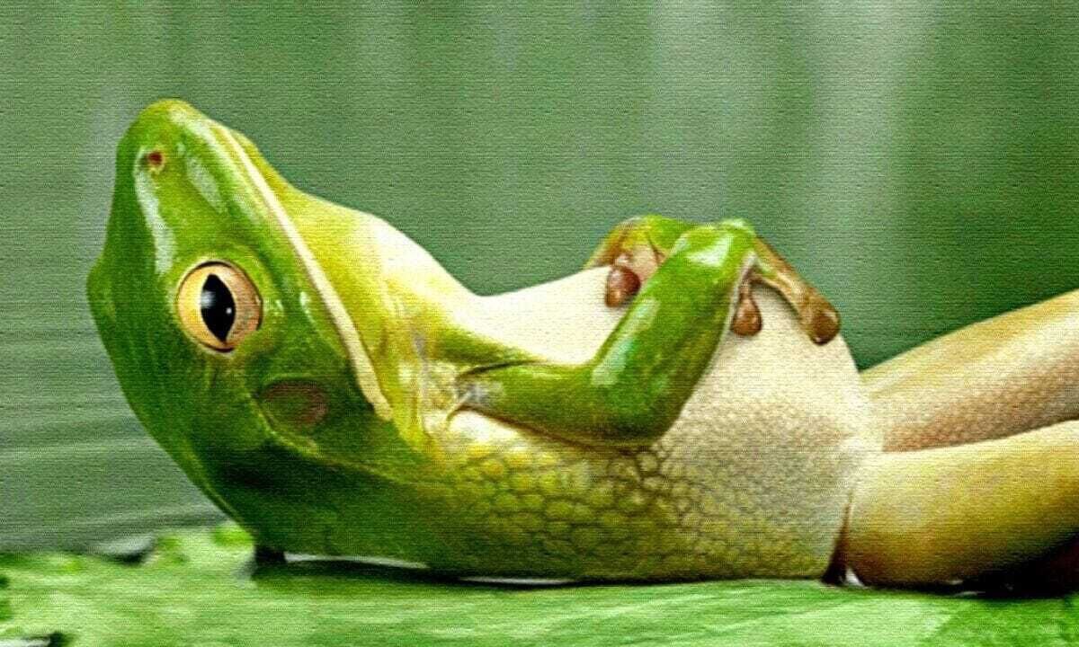 Photo of Others in Blawenburg