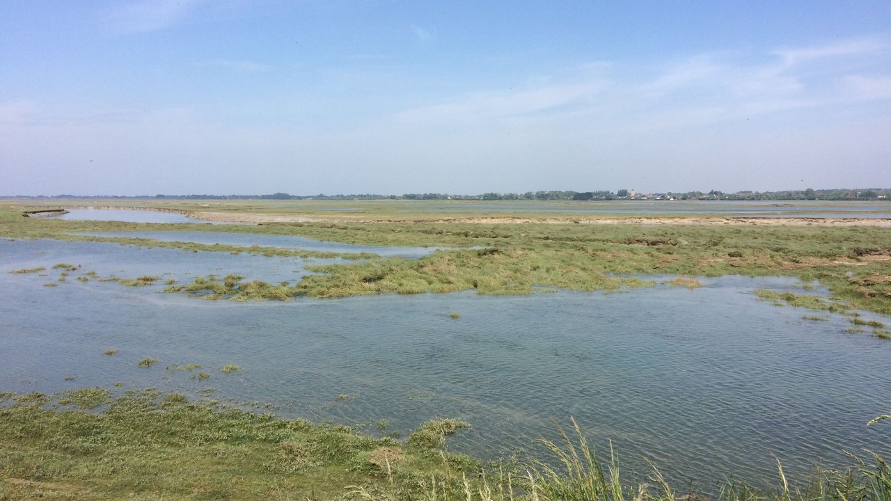 Photo of Others in Cote Ouest Centre Manche