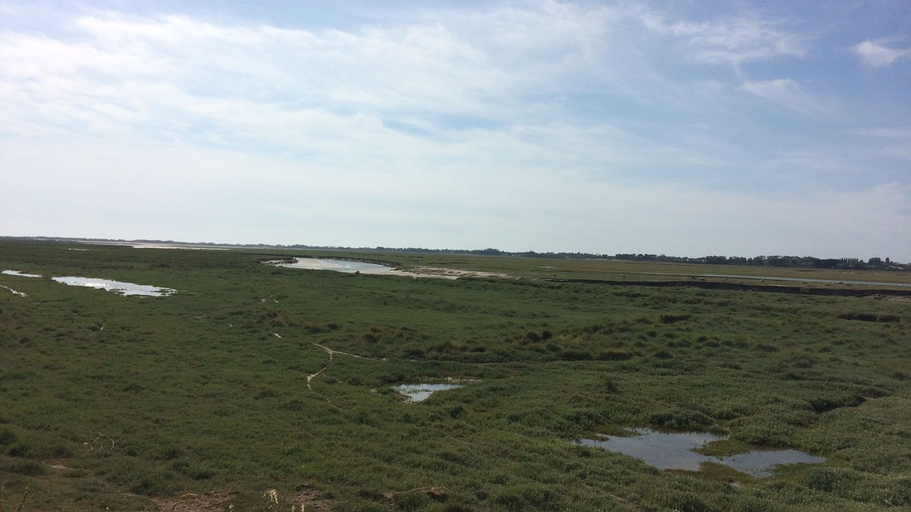 Photo of Others in Cote Ouest Centre Manche