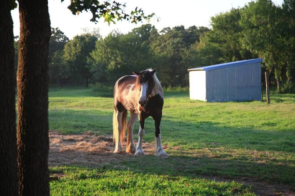 Photo of Outdoor in Okmulgee County