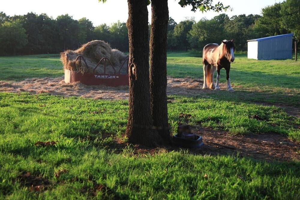 Photo of Outdoor in Okmulgee County