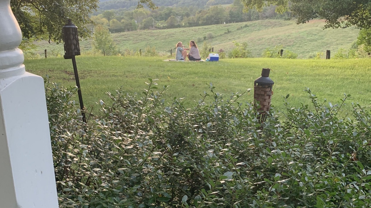 Photo of Others in Nelson