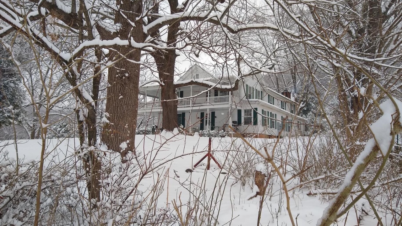 Photo of Outdoor in Nelson