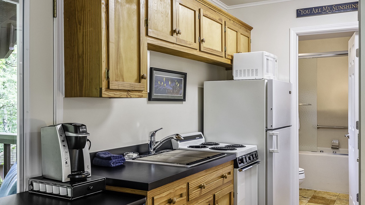 Photo of Kitchen in Eureka Springs Historic District