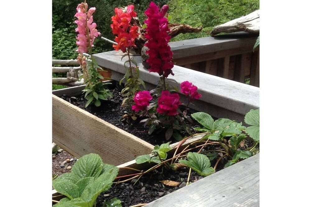 Photo of Outdoor in Hammond