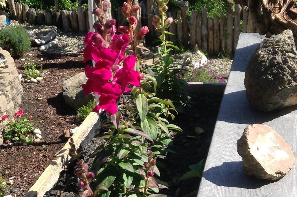 Photo of Outdoor in Hammond