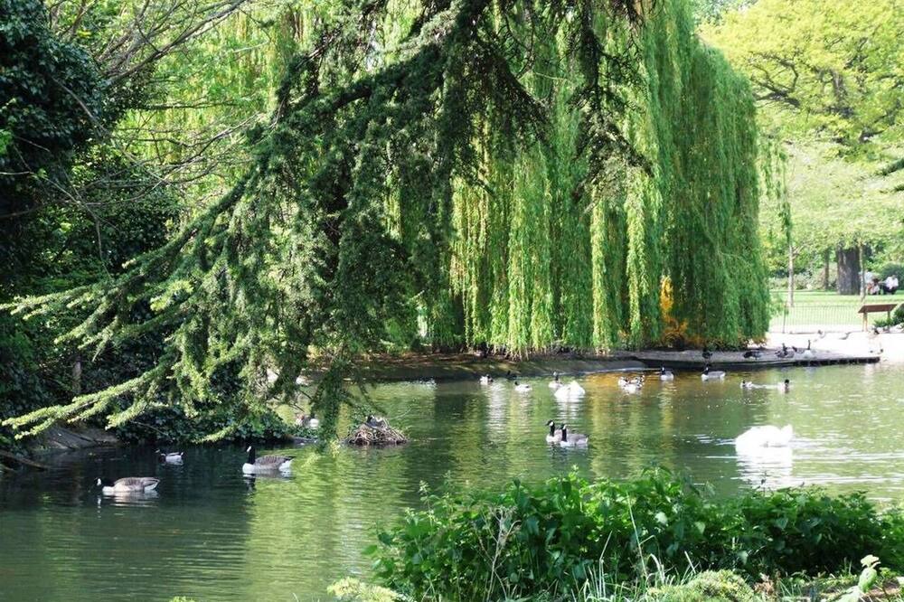 Photo of Others in Ravenscourt Park