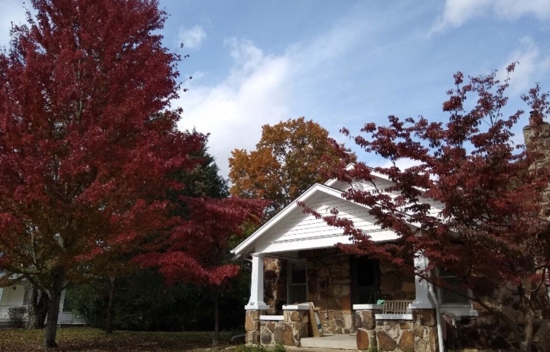 Photo of Outdoor in Ozark