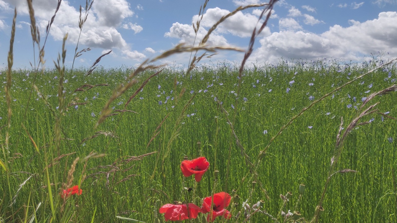 Photo of Outdoor in Bois-d'Ennebourg