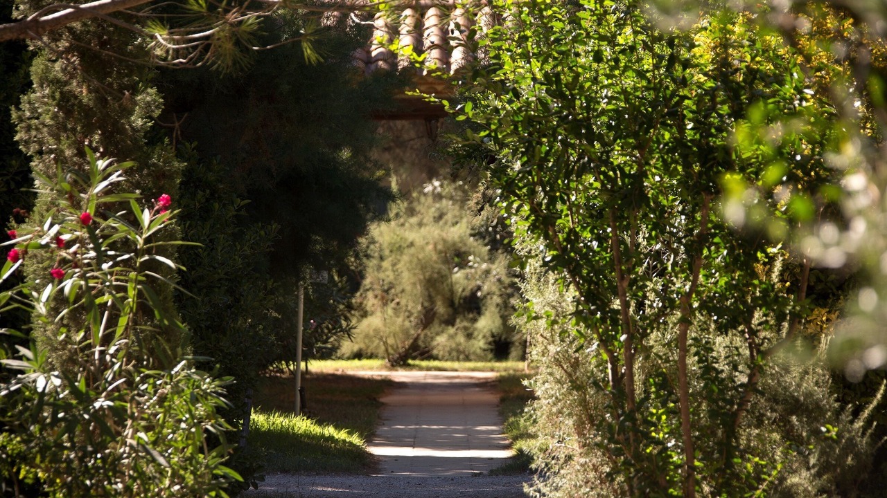 Photo of Outdoor in Aigues-Mortes