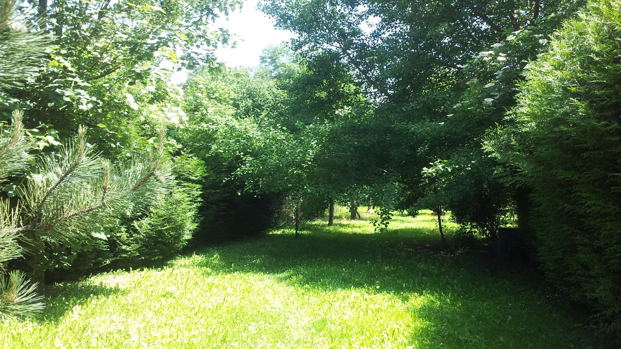 Photo of Outdoor in La Neuville-sur-Essonne