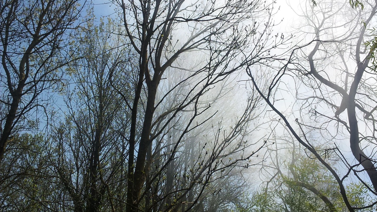 Photo of Outdoor in La Neuville-sur-Essonne