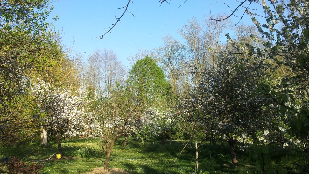 Photo of Outdoor in La Neuville-sur-Essonne