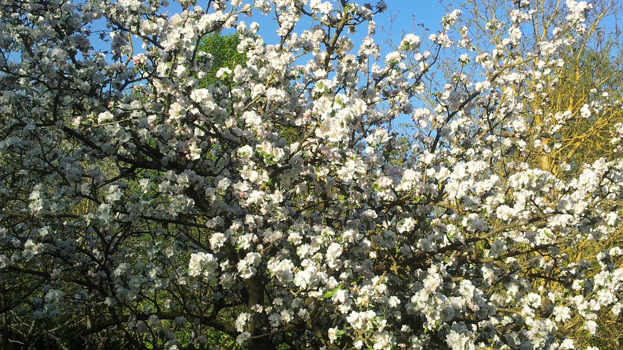 Photo of Outdoor in La Neuville-sur-Essonne